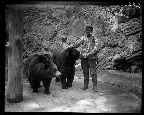 Zookeeper Feeding Bears At Lincoln Park Zoo In Chicago 1900 Vintage
