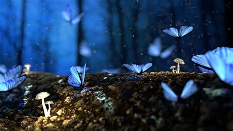 Fantasy Forest With Beautiful Butterflies 1920×1080 Rwallpaper