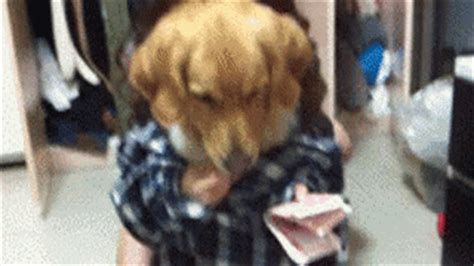 Gif bin is your daily source for funny gifs and funny animated pictures! Dog Money GIF - Dog Money Funny GIFs | Say more with Tenor