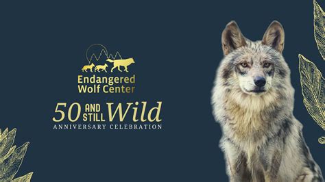 Home Endangered Wolf Center