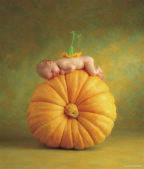 Country Pumpkin Photograph By Anne Geddes Fine Art America