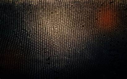 Skin Snake Wallpapers Brown Skins Abstract Iphone