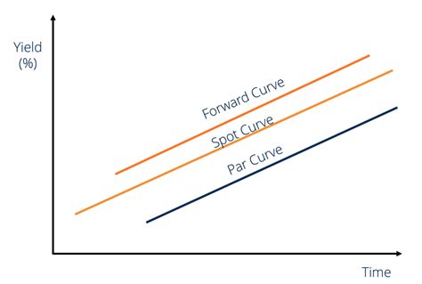 Forward Curve Definition Types Theories Examples
