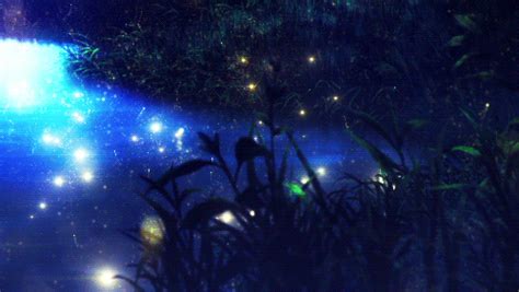 Fireflies Night Water Lake Anime  On We Heart It