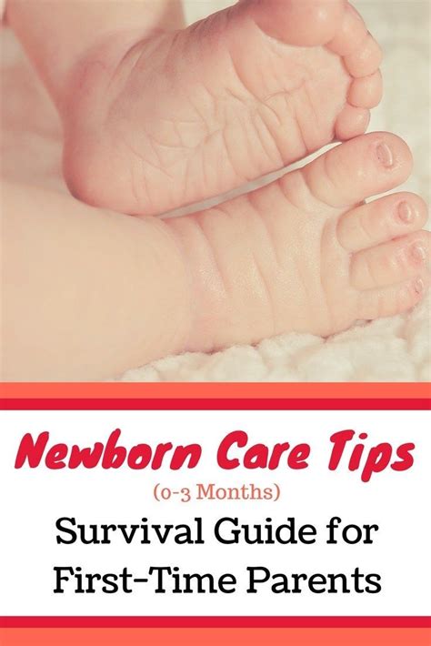 Newborn Care Tips (0-3 Months): Survival Guide For First ...