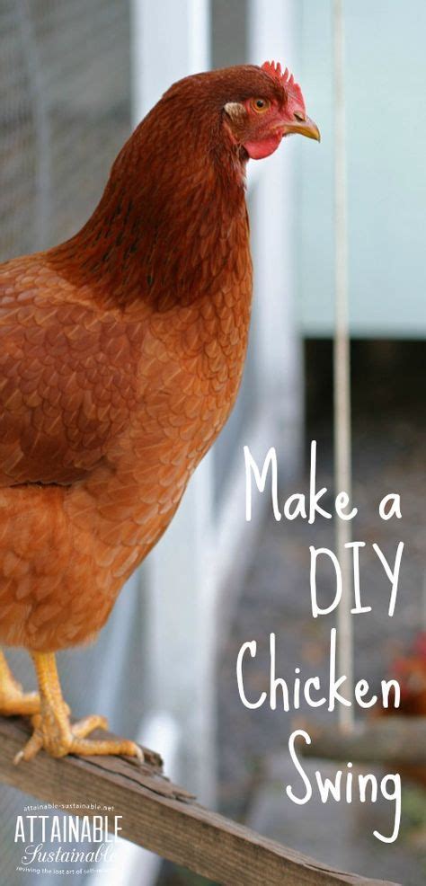 Make A Diy Chicken Swing From Items You Probably Already Have On Hand