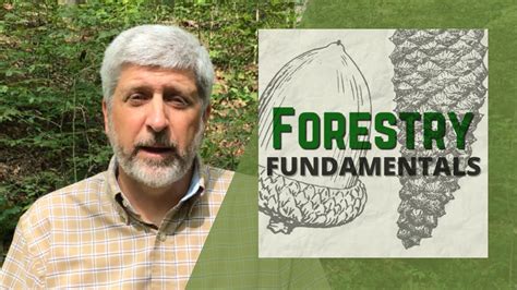 Forestry Fundamentals An Introduction Youtube