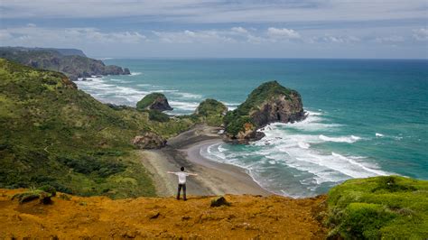 Top 5 Beaches In New Zealand You Cant Miss Swim Guide