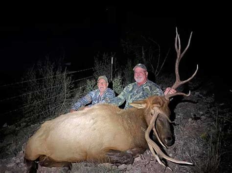 New Mexico Elk Hunting Monster Elk Up To 400 Bulls