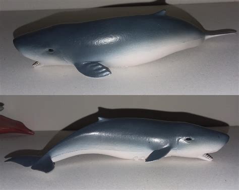 Pygmy Sperm Whale Sealife By Collecta Animal Toy Blog