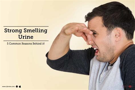 Strong Smelling Urine 5 Common Reasons Behind It By Dr Manju
