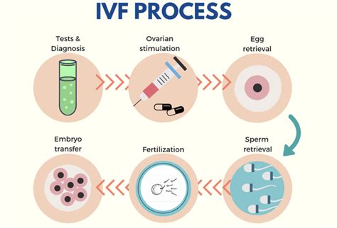 Ivf Process Start To Finish A Complete Explanation Hope Fertility Logo