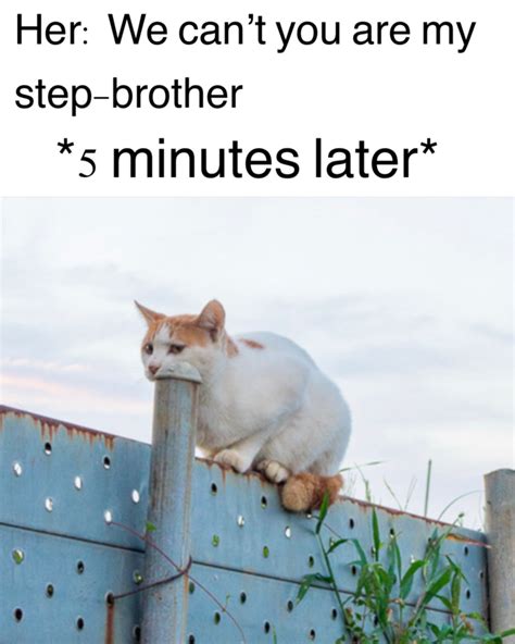 Wyd Step Bro Meme It Has Been A Long Time Coming So Please Drop A