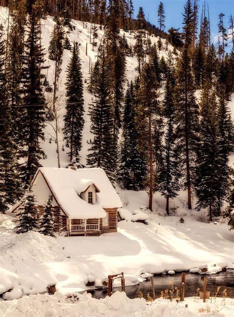 Colorado Winter Snow Log Free Photo On Pixabay Winter Cabin Winter