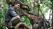 Wildcat Film Review: Young Veteran and Baby Ocelot Heal Each Other in ...