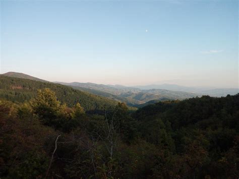 Parco Nazionale Delle Foreste Casentinesi Monte Falterona E Campigna