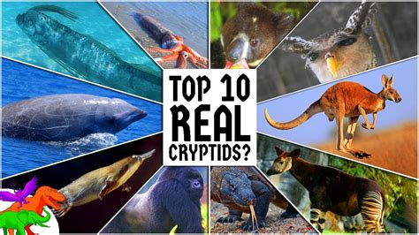 10 Cryptids That Turned Out To Be Real Edges Top 10s Youtube