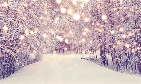 Winter Forest Covered With Snow And Gold Sparkle For