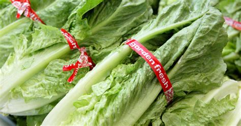 Federal Health Officials 1st Death Reported In Romaine Lettuce E Coli