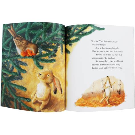 The Little Lost Robin Christmas Books Robin Lost