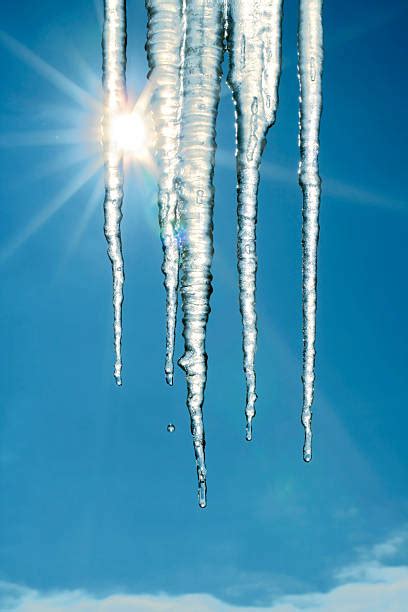 Melting Icicle Stock Photos Pictures And Royalty Free Images Istock
