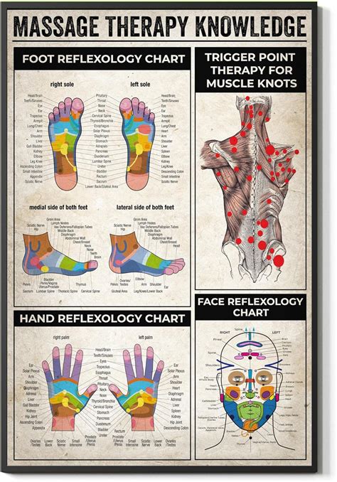 Buy Fesogo Massage Therapy Knowledge Foot And Hand Reflexology Chart