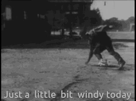 windy just a little bit windy today windy just a little bit windy today wind тэй