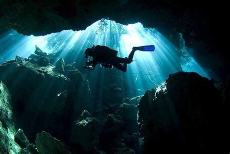 Pin By Dani Raé On My Fav Pins Diving Underwater Photography Scuba