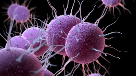 Gonorrhoea Cases Rise By Over A Fifth On Pre Pandemic Levels Uk News
