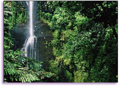 50 Live Waterfalls Wallpapers With Sound Wallpapersafari