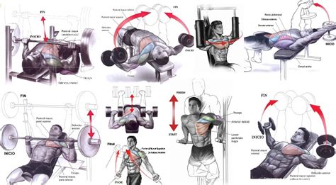 How To Build Chest Muscles Fast Bodydulding