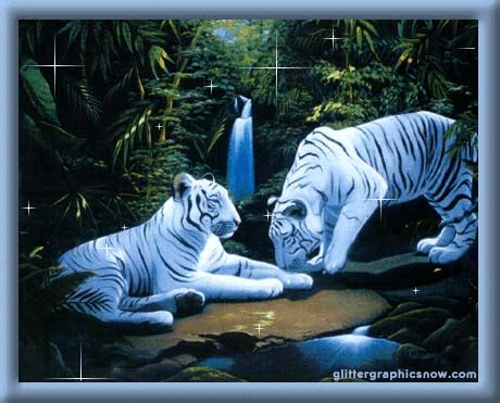 Free hd gif wallpapers pixel wallpaper gif on imgur 1280×1024. Funny wallpapers|HD wallpapers: cute tiger background