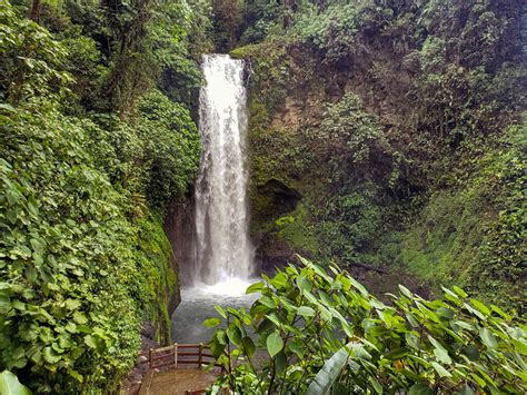 How To Visit La Paz Waterfall Gardens Costa Rica Paradise Catchers