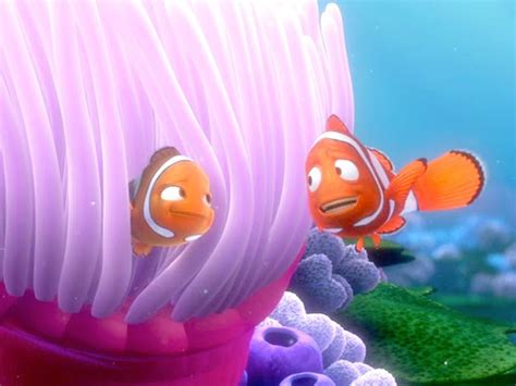 Coral And Marlin Marlim Childhood Animated Movie Characters