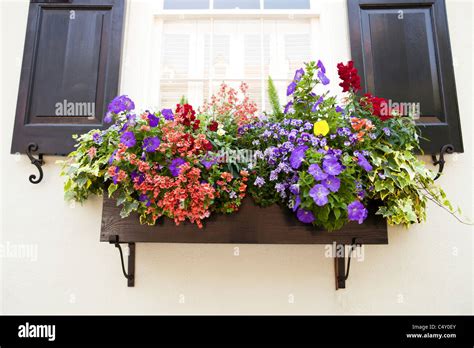 Flower Window Box The Definitive Guide To Window Box Design The