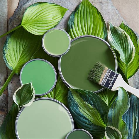 Picking The Perfect Shade Of Warm Green Paint Color For Your Home
