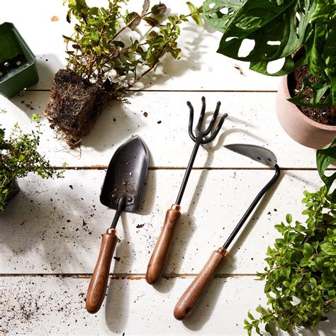 17 Essential Gardening Tools the Pros Swear By | Garden tools, Garden