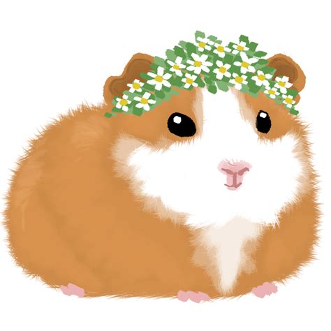 Hamster Clipart Guinea Pig Picture 1289630 Hamster Clipart Guinea Pig