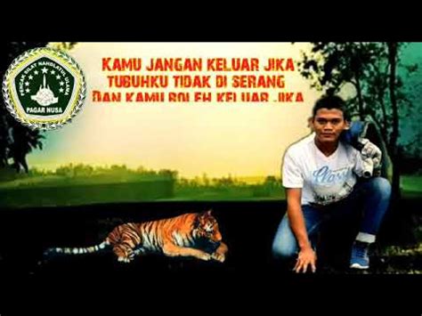 Setori WA kata kata pagar nusa - YouTube