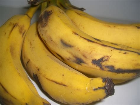 Free A Bunch Of Bananas Stock Photo