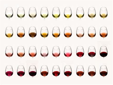 Wine Colour Chart