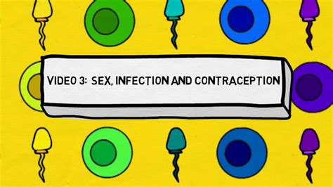subtopic sex education