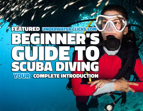 Beginners Guide To Scuba Diving A Complete Introduction Underwater