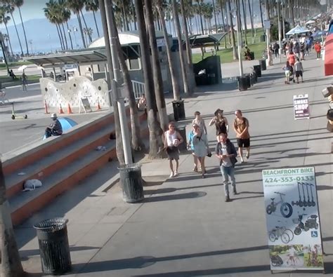 Venice Beach Webcam Hdbeachcams