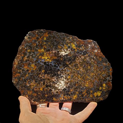 Pallasite Meteorite Slice A W Meteorites Touch Of Modern