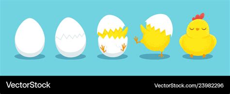 Chicken Hatching Cracked Chick Egg Hatch Eggs Vector Image