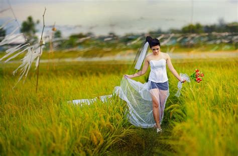 9 Gambar Pemandangan Orang Di Sawah Galeri Gambar Dini