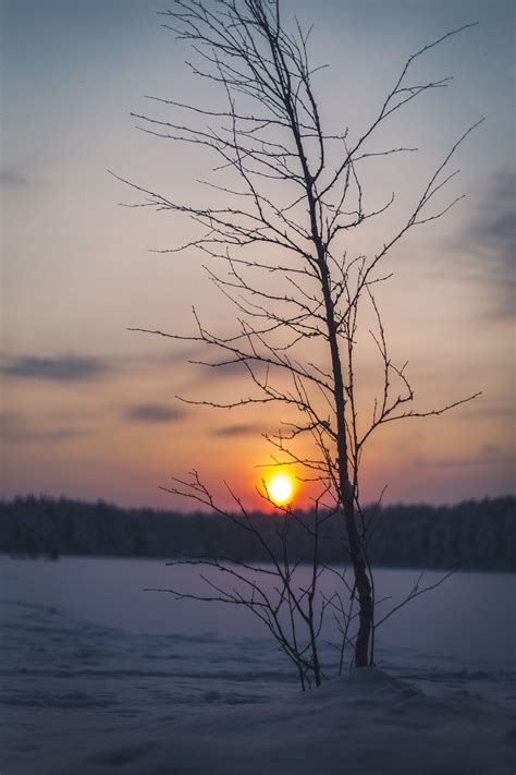 Jasper Schmidt Beautiful Nature Sunset Winter Sunset