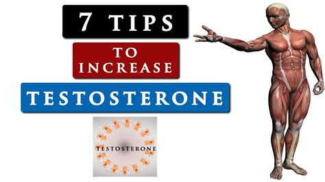 How To Increase Your Testosterone Level Naturally Youtube