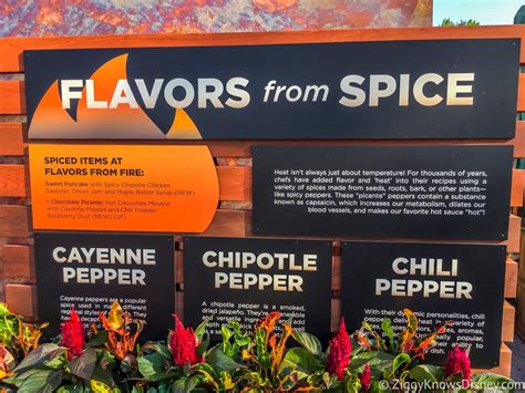 Review Flavors From Fire 2017 Epcot Food And Wine Festival Ziggy